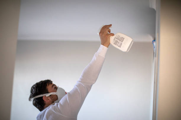 Mold Testing and Removal in Shasta, CA
