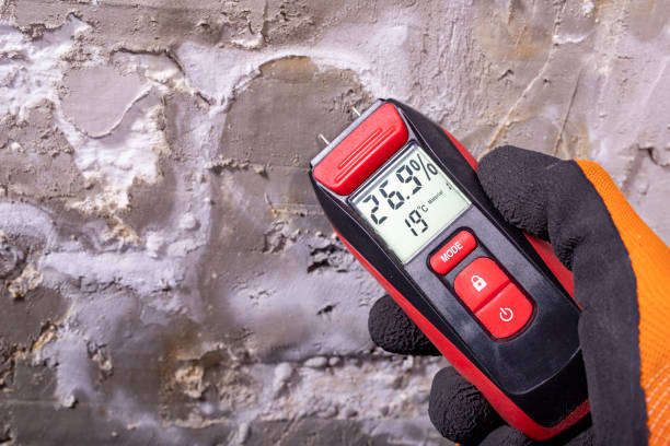 Best Attic Mold Removal  in Shasta, CA