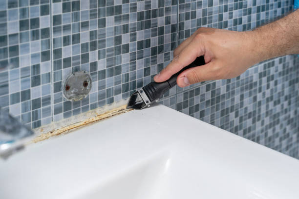 Best Best Mold Removal Companies  in Shasta, CA